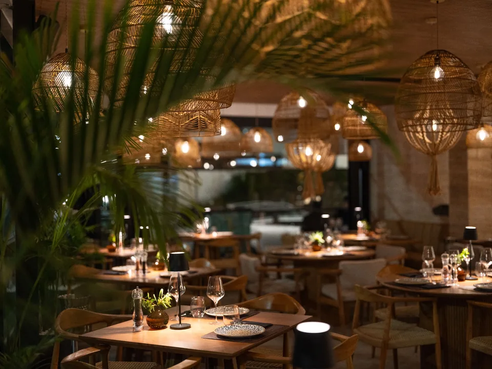 Hippocampus · dining